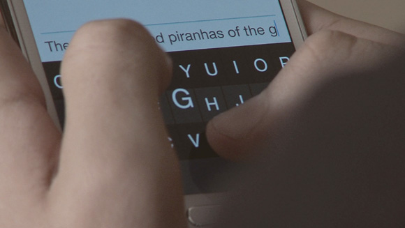 Fleksy article main