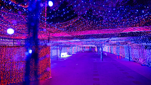 Xmas lights main