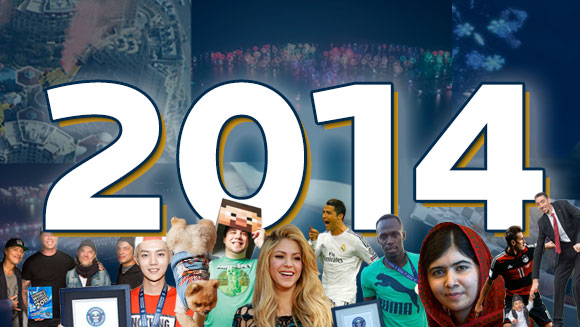 2014 review main