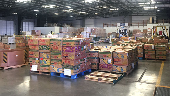 most-fruit-and-vegetables-donated-in-24-hours-header