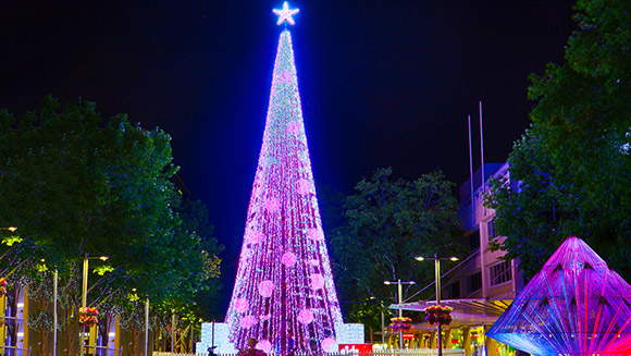 Christmas-tree-lights-main