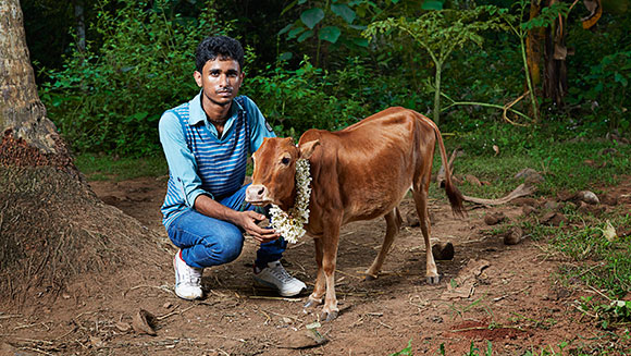 Shortest-cow-header