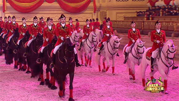 Largest horse dressage main