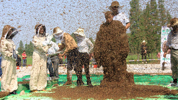 heaviest-mantle-of-bees-header