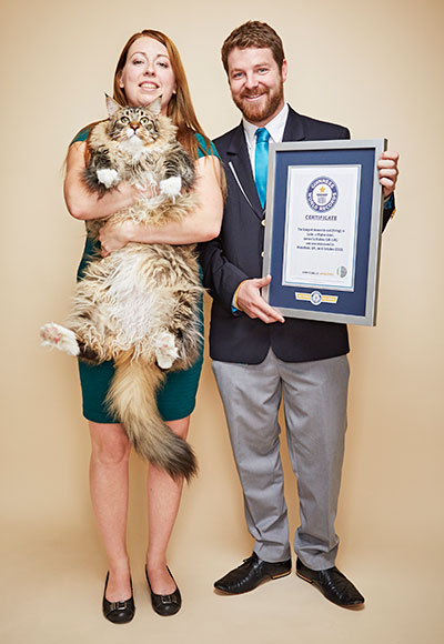 Video Meet Ludo The Longest Cat In The World Guinness World Records