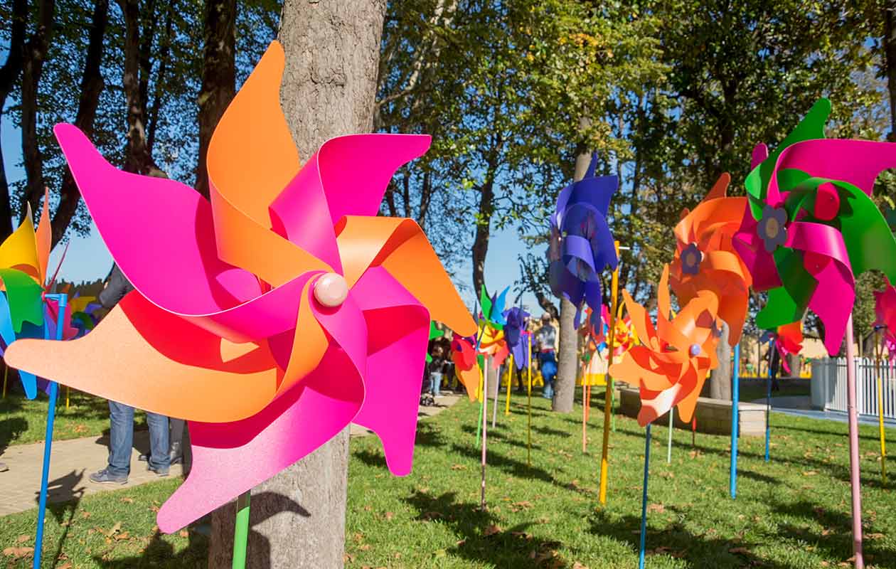 Largest display of toy windmills header