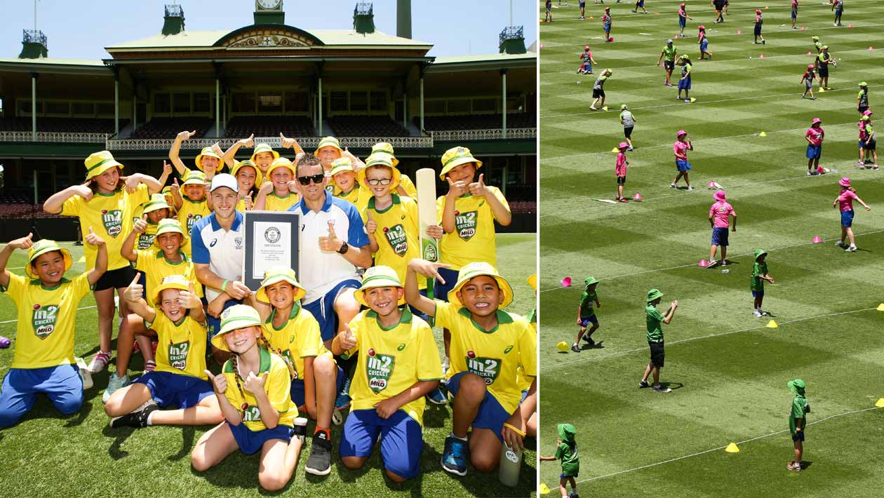 Largest cricket lesson header