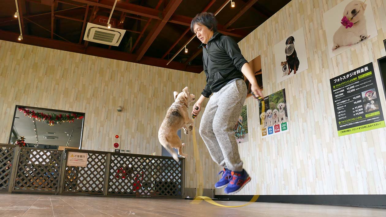 Most skips by a dog and a person in one minute main image