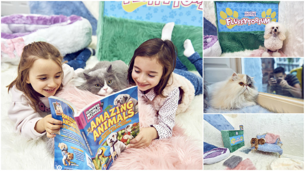 Fluffytorium collage