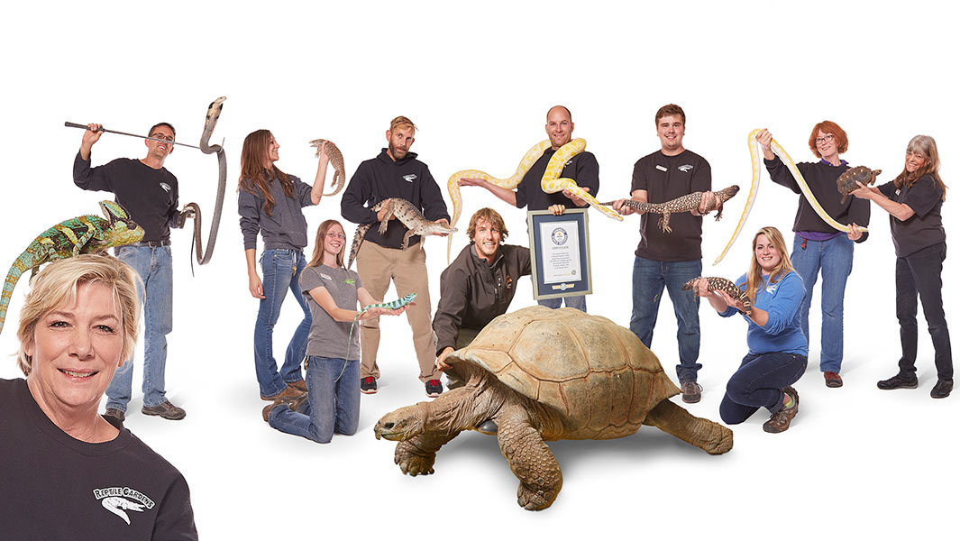 Largest reptile zoo header