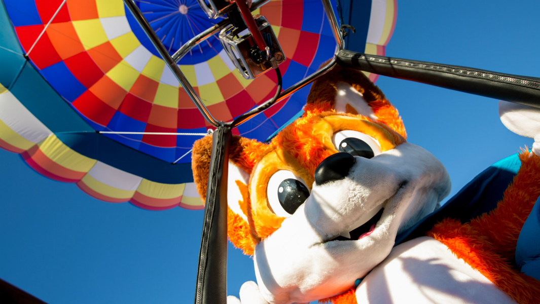 Highest-altitude gaming stream 6