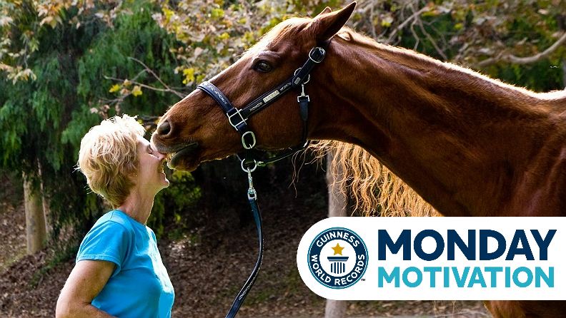 Most numbers identified by a horse in one minute 14