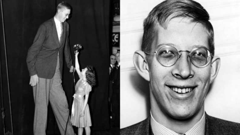 Tallest man ever header
