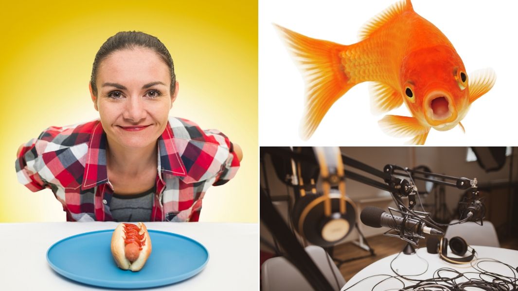 Gastronomy records