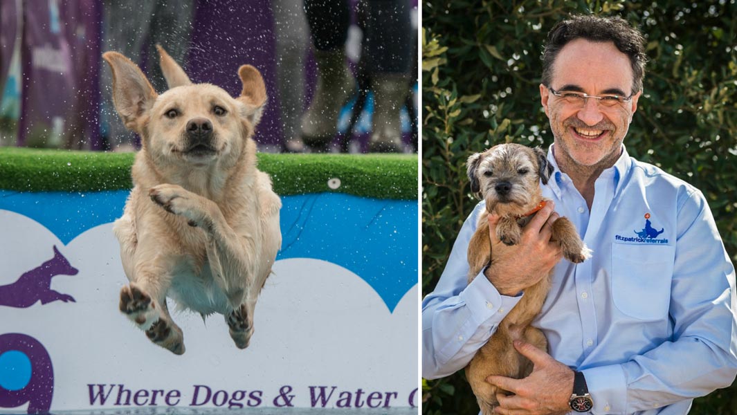 dogfest-header