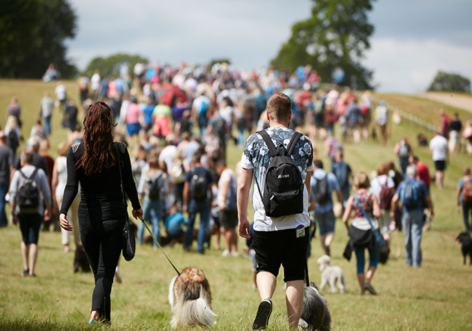 DogFest: Take on a Guinness World Records challenge at the ultimate ...