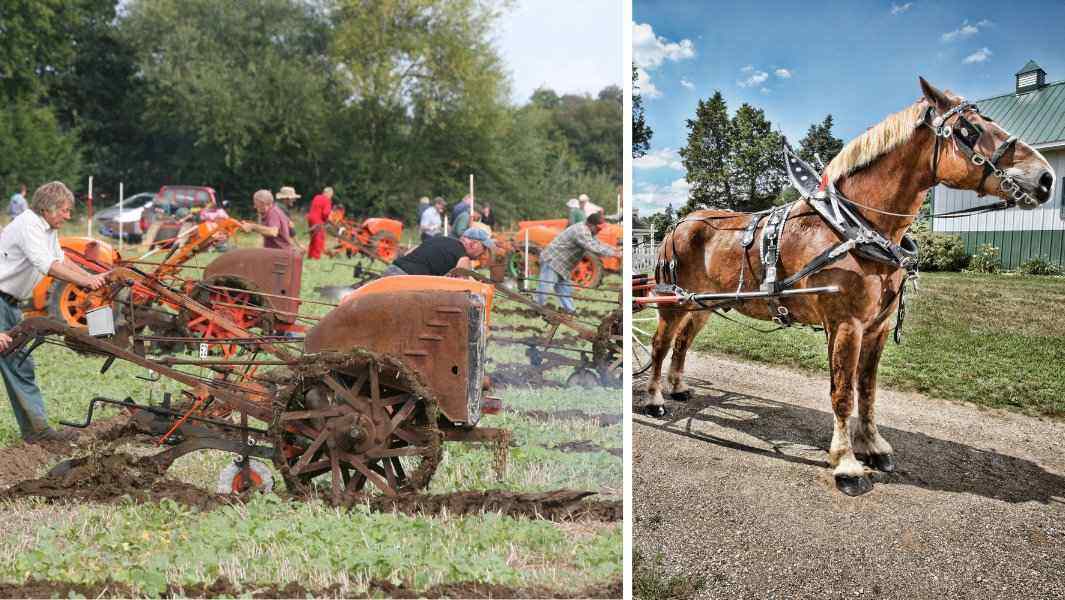 Farmfluencer Updated Header Image