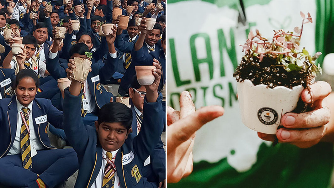 Potting Plants Header