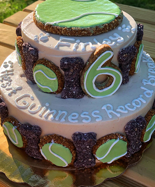 Finley's 6th birthday cake was very in theme with his new record title!