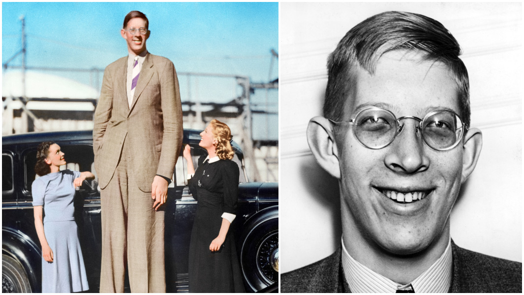 Hoe Lang Was Robert Wadlow Sep 03 2007 New York NY USA ROBERT Hoe Lang Was Robert Wadlow Sep 03 2007 New York NY USA ROBERT