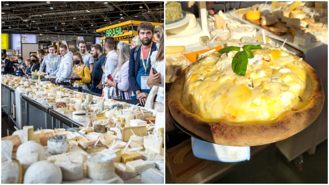most varieties of cheese on a pizza split image