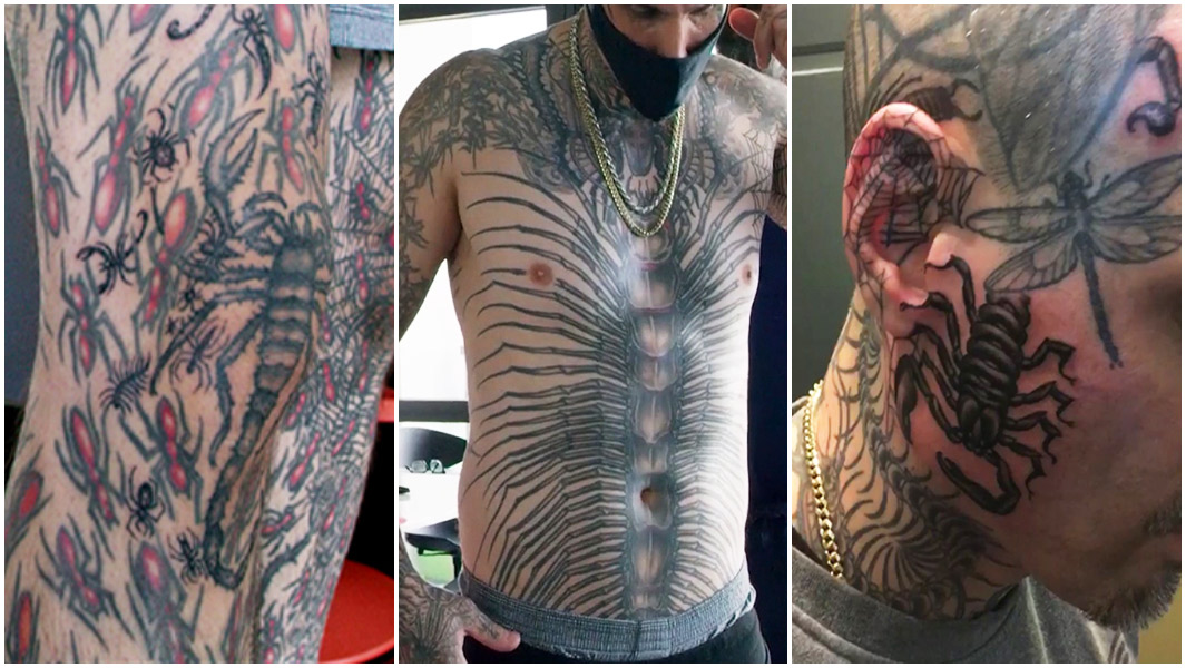 insect tattoos split image