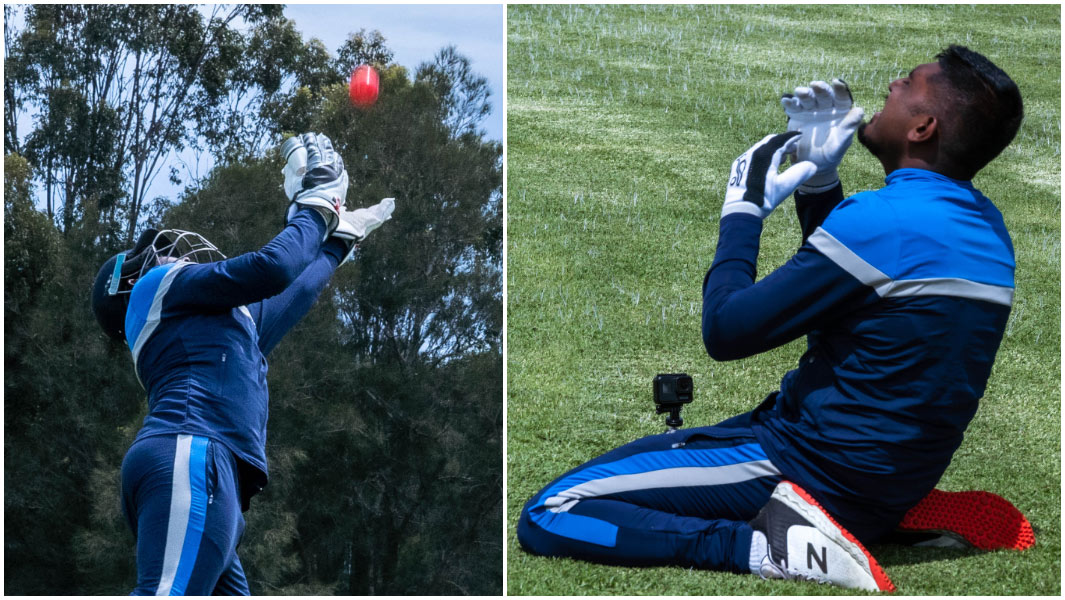split image highest cricket ball catch