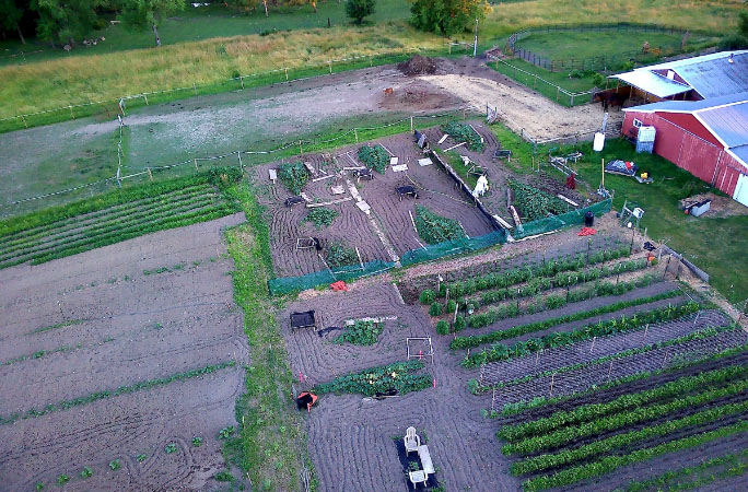 aerial view of Derek's garden