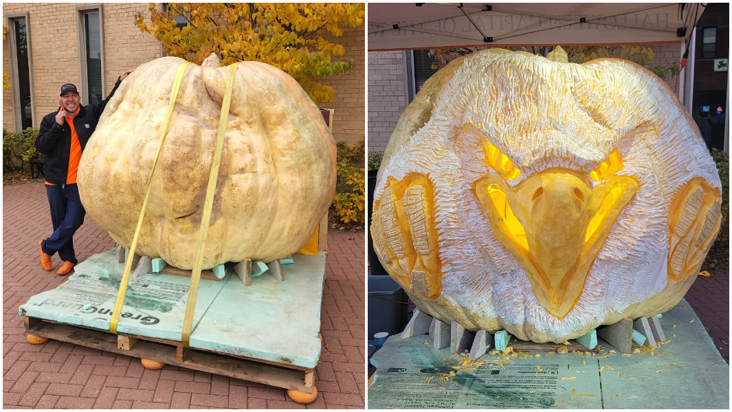 split image largest jack o lantern