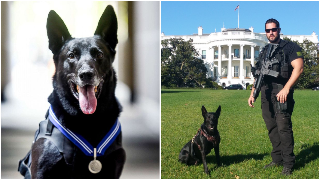 split-image-of-secret-service-dog-hurricane-and-handler-marshall-mirarchi.jpg