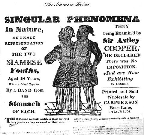 The dark history of the original Siamese twins, Chang and Eng Bunker