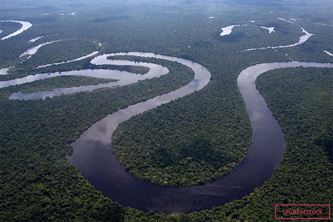 aerial-view-of-the-amazon-river-699328