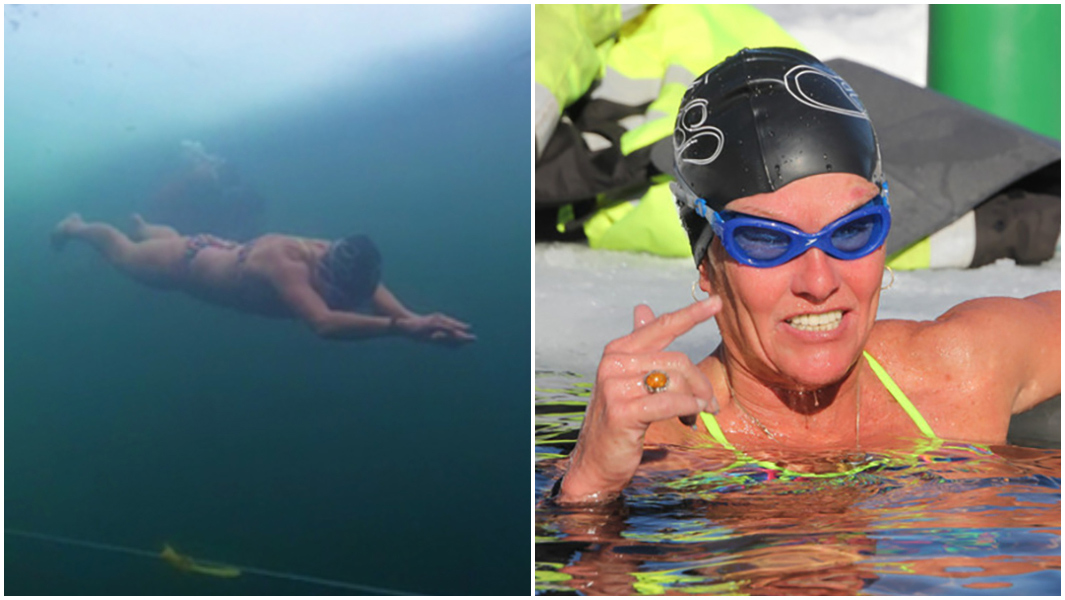 Amber fillary swimming under ice header