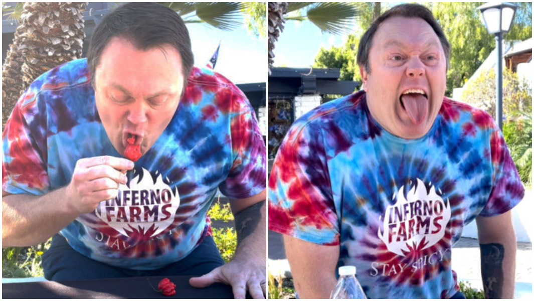 man eating carolina reaper chillies split image