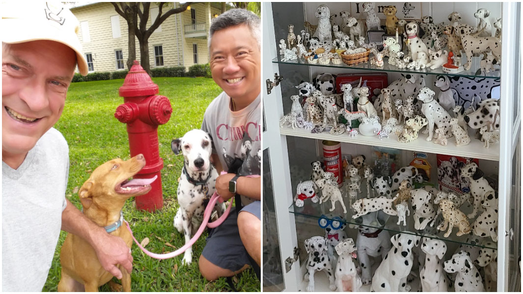 Dalmatianmad dad sees spots everywhere thanks to recordbreaking(02)