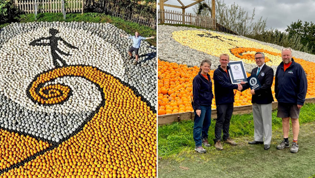 pumpkin-and-cert