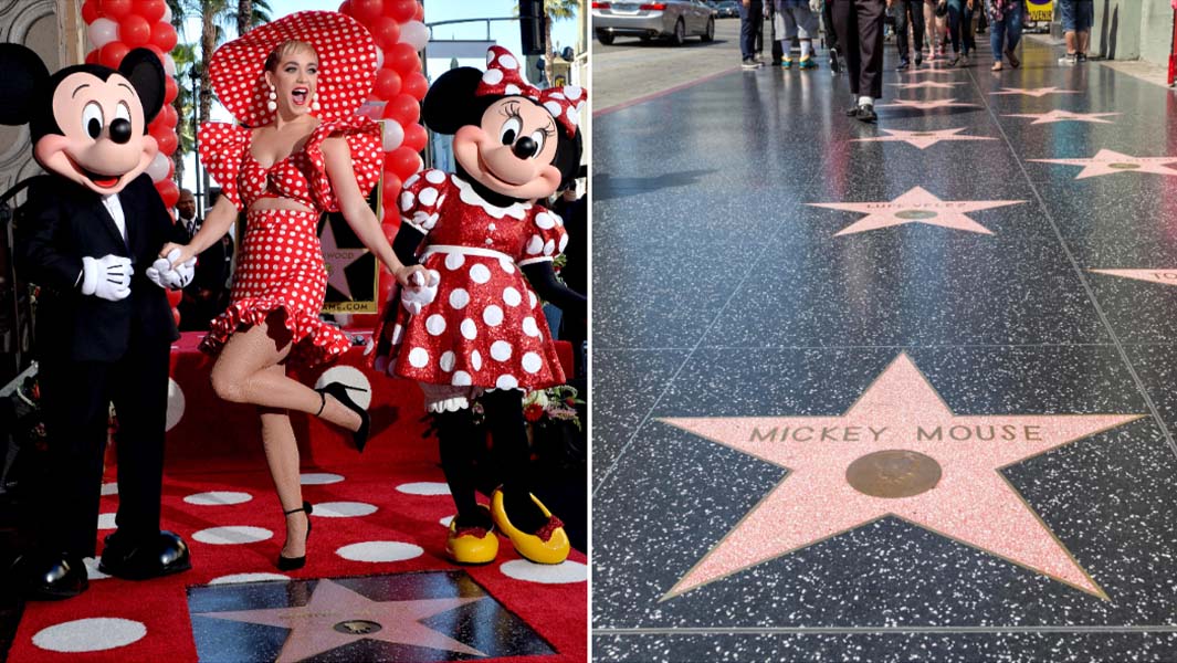 mickey and minnie mouse split image