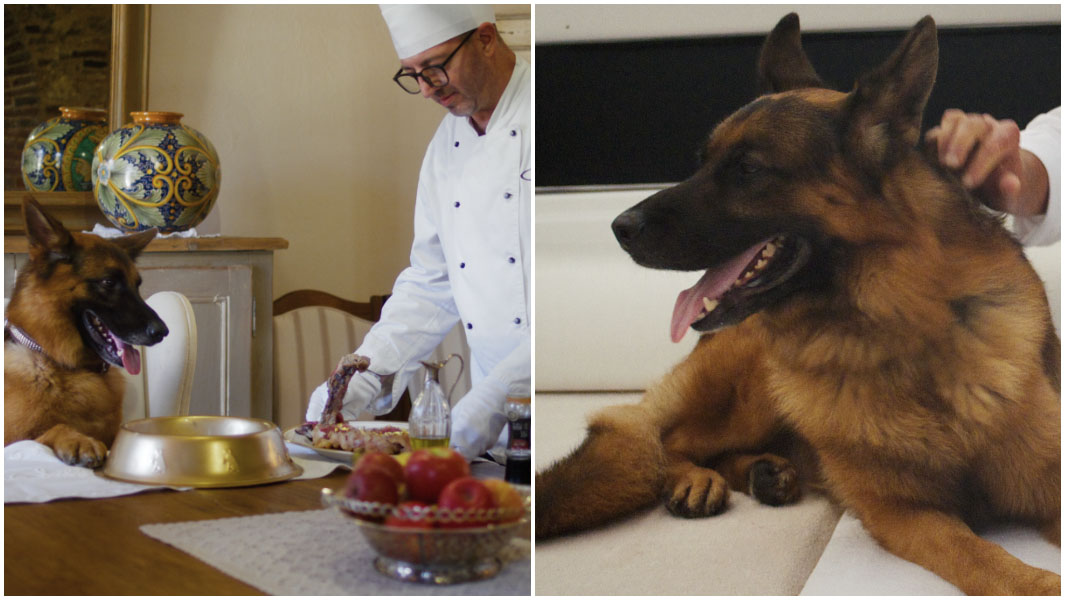 gunther split image served by chef and on a yacht
