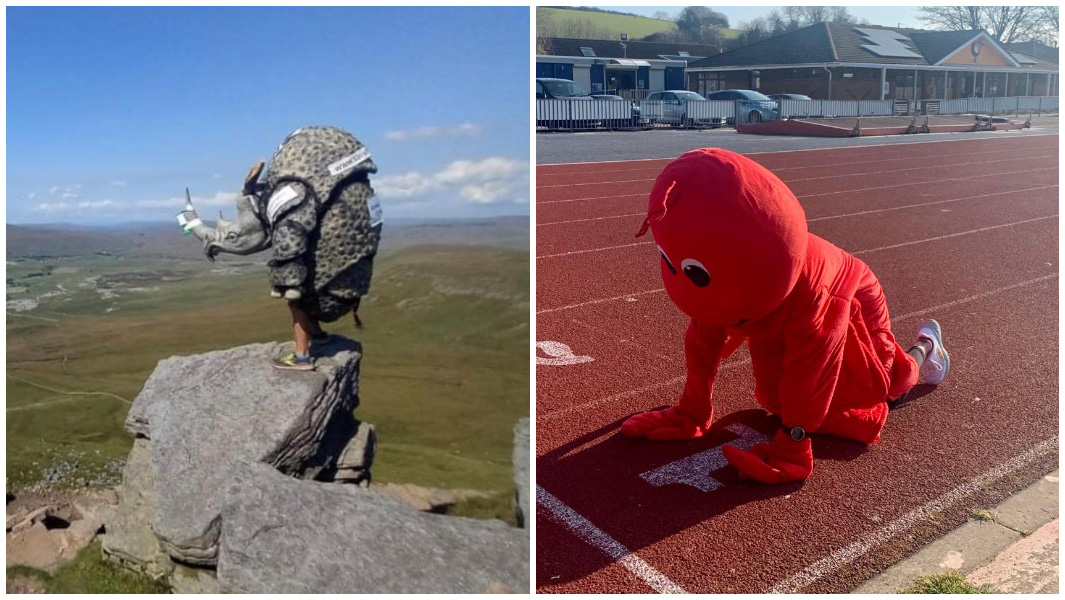 lobster and rhino with sky background