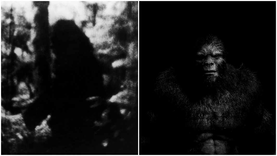 split-image-of-bigfoot-walking-through-the-woods-and-bigfoot-head-on.jpg