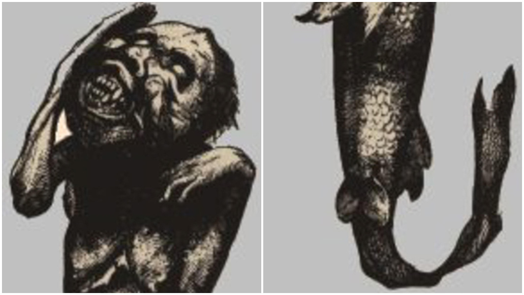 most expensive mermaid split image