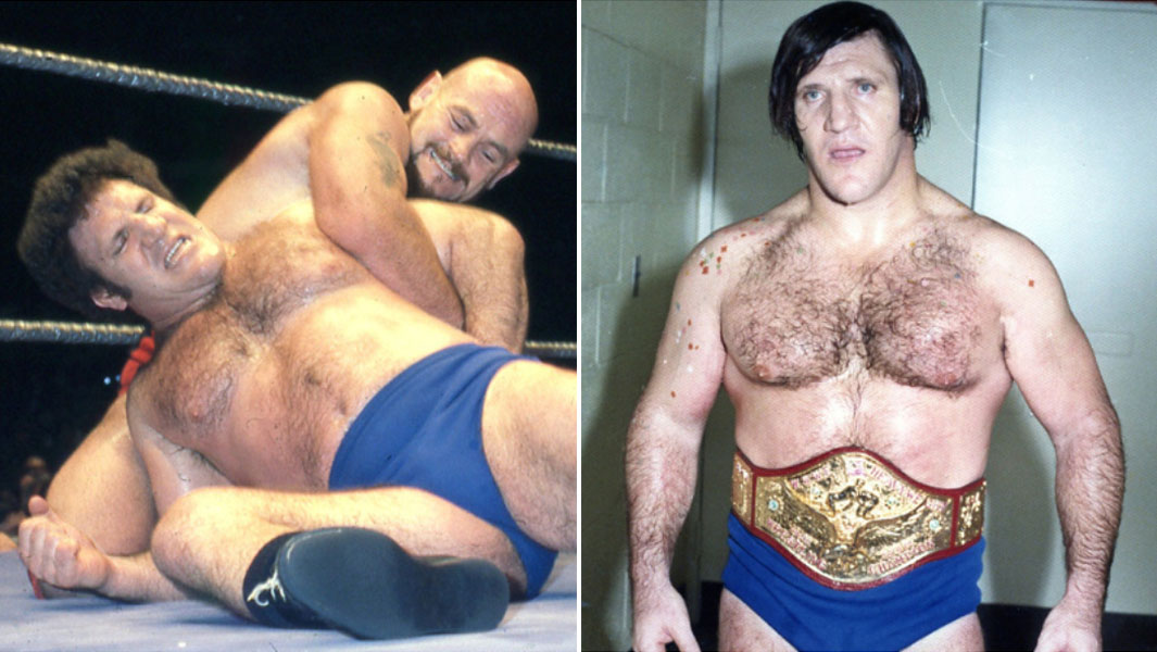 split-image-bruno-sammartino-new