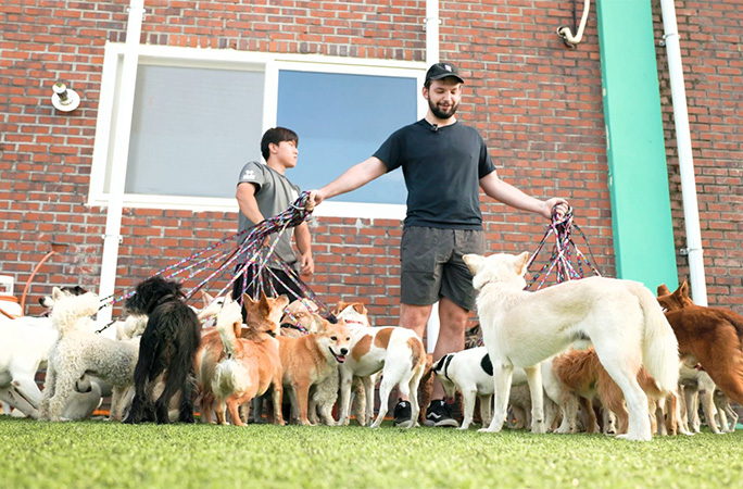 Mitchell holding the dogs on leads