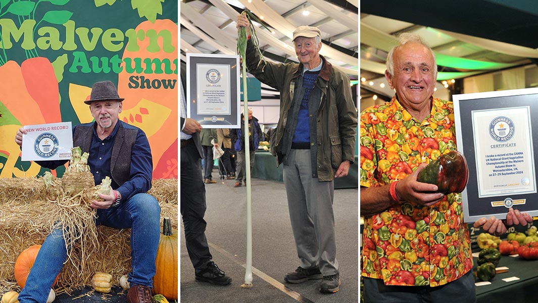 Three new vegetable records set at the 2024 Malvern Autumn Show: the heaviest celeriac, the longest leek and the heaviest bell pepper