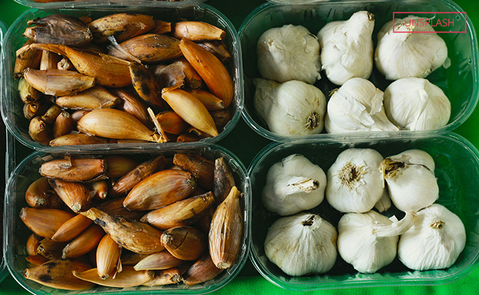Garlic picture
