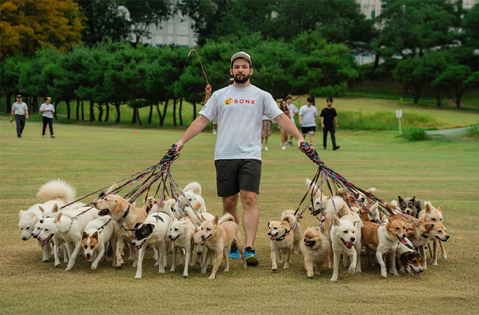 most dogs being walked