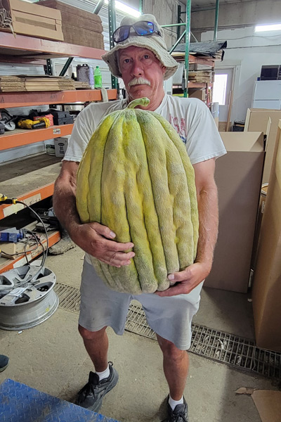 Dave Bennett also grows other fruit and vegetables including pumpkins, squashes, gourds and melons