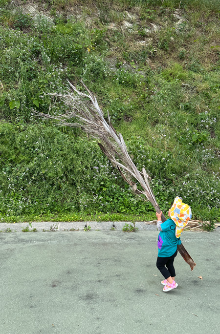 Jalimpa lifting a branch