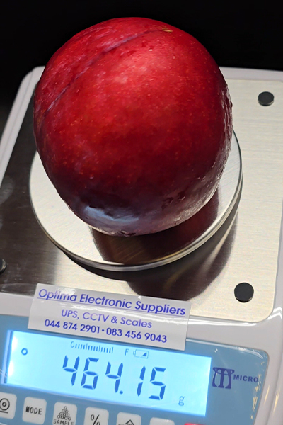 Heaviest plum on weighing scale