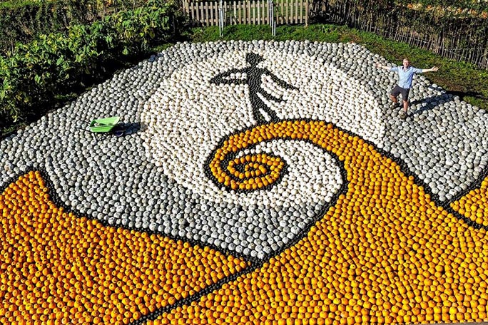 largest squash mosaic image at sunnyfields farm in 2023